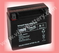 Automotive Battery